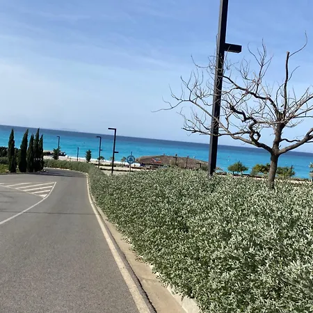 فيلة 79a In Palase هيماري